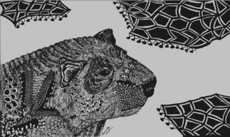 WILD ART: BEAR