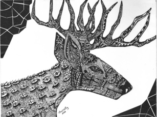 WILD ART: DEER